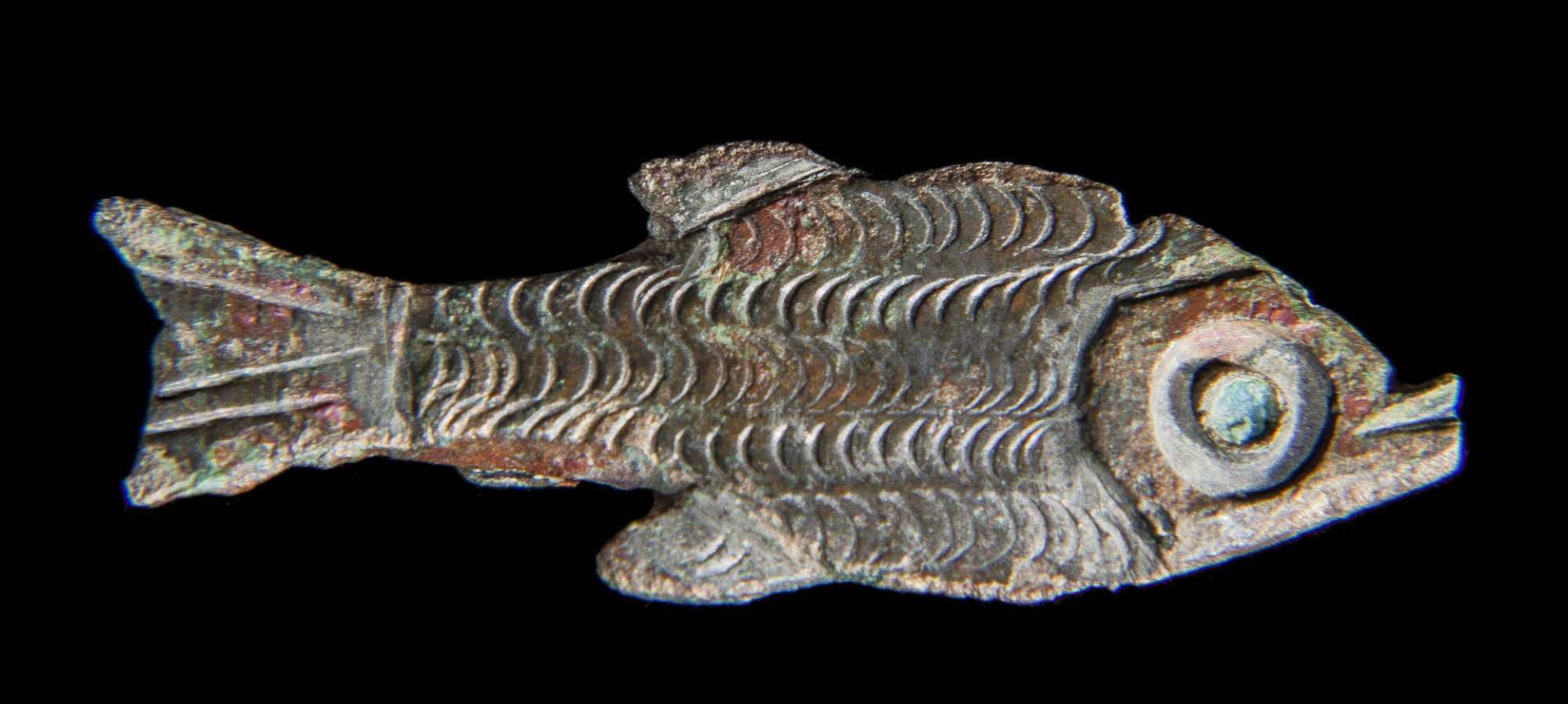 Fibule représentant un poisson © Site et Musée romains d'Avenches, photo NVP3D