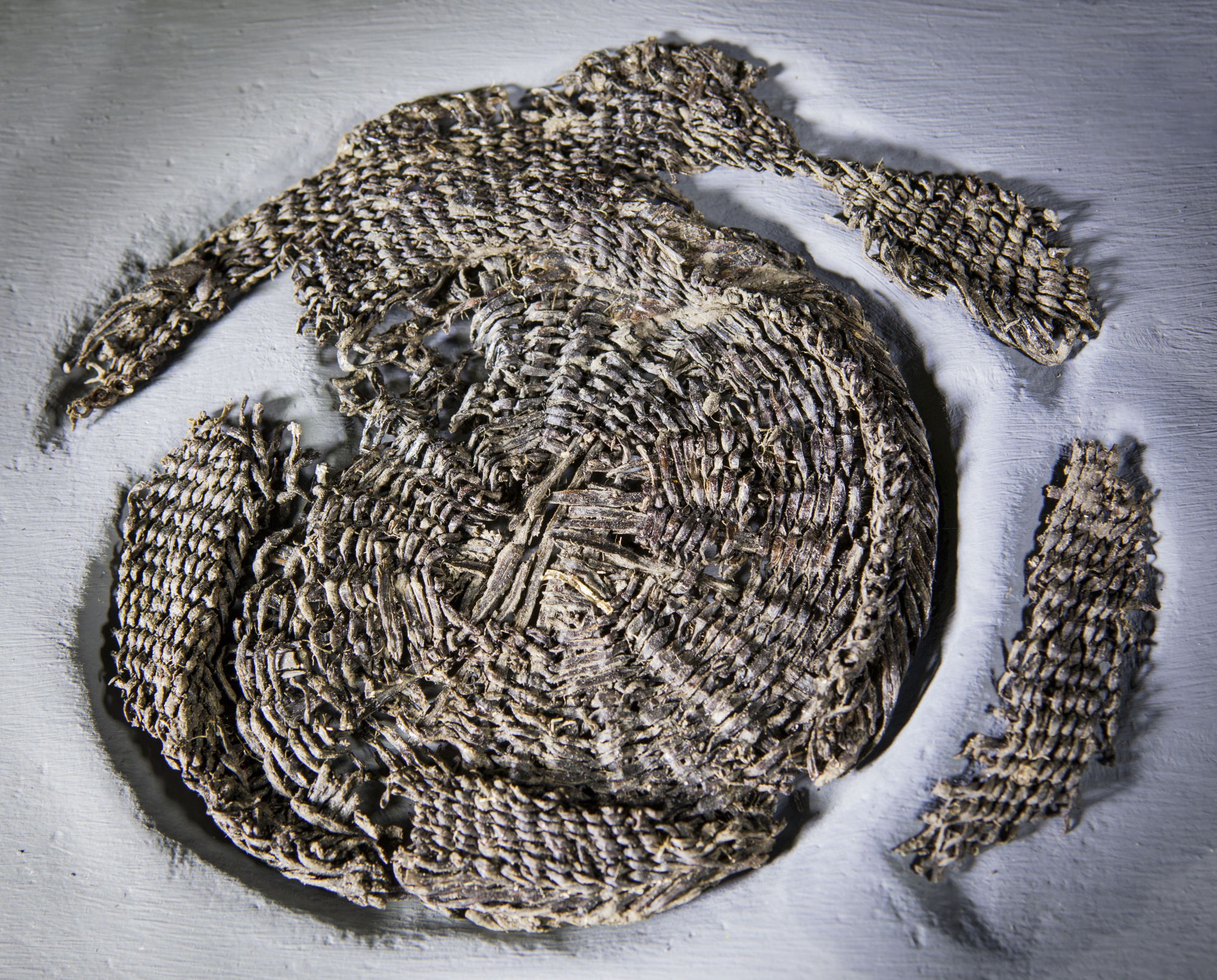 Corbeille en osier © Site et Musée romains d'Avenches, photo NVP3D