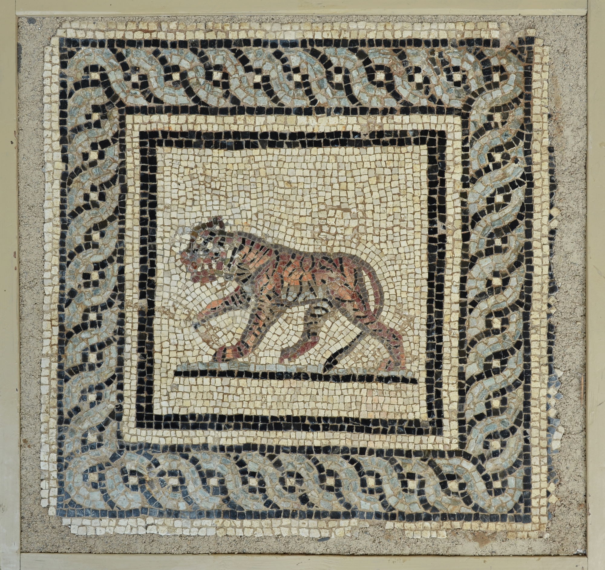 Mosaïque avec motif de tigre © Site et Musée romains d'Avenches, photo Paul Lutz