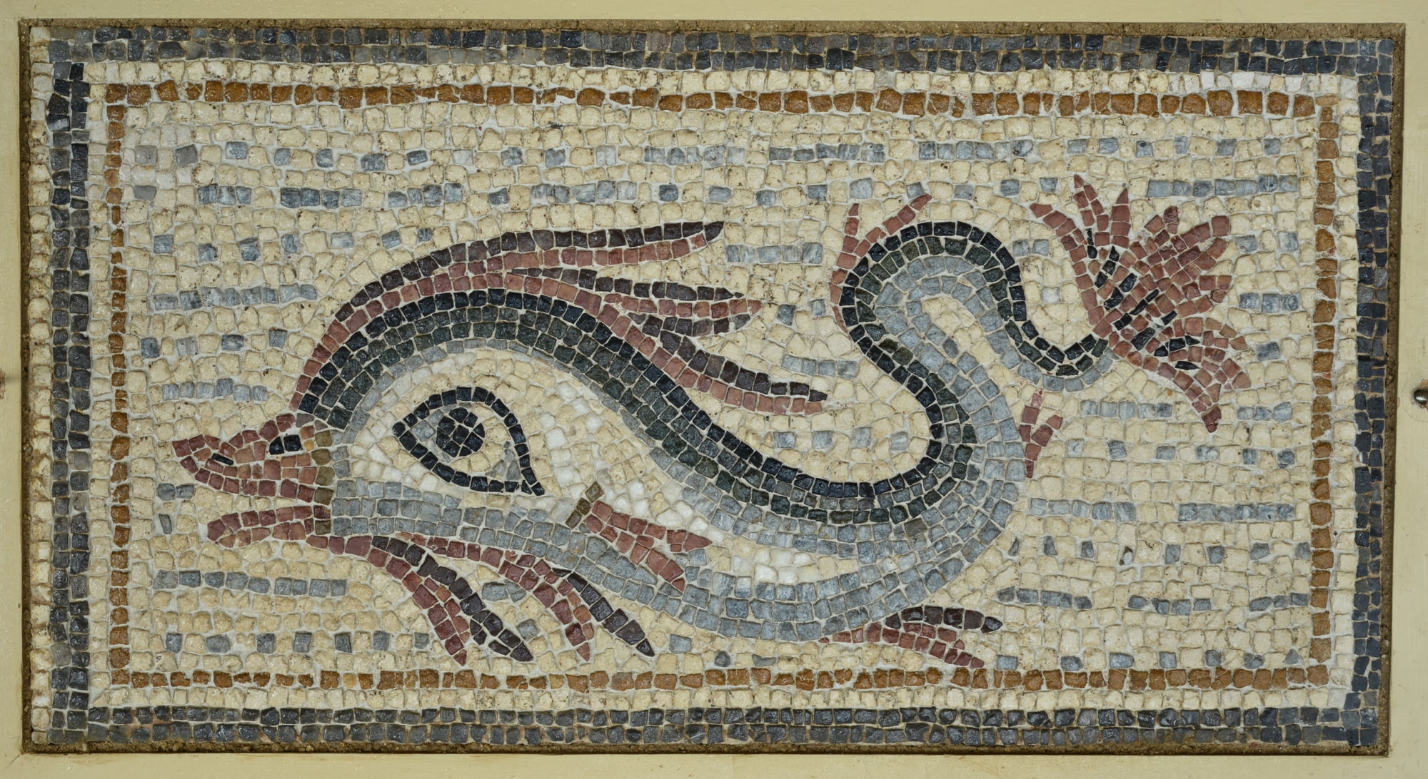 Mosaïque avec motif de dauphin © Site et Musée romains d'Avenches, photo Paul Lutz