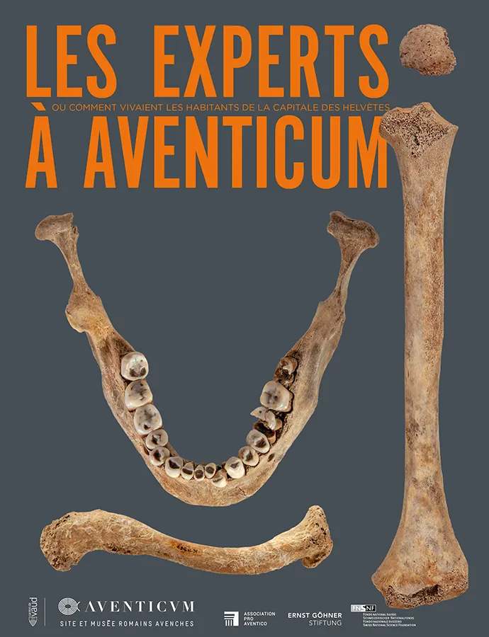Les Experts à Aventicum