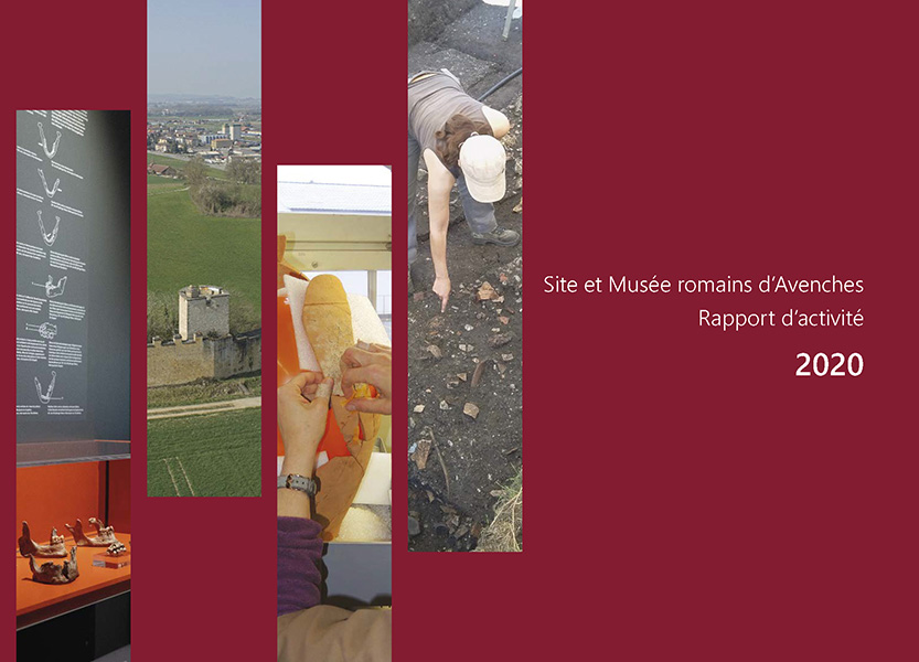 Rapport d'activité 2020