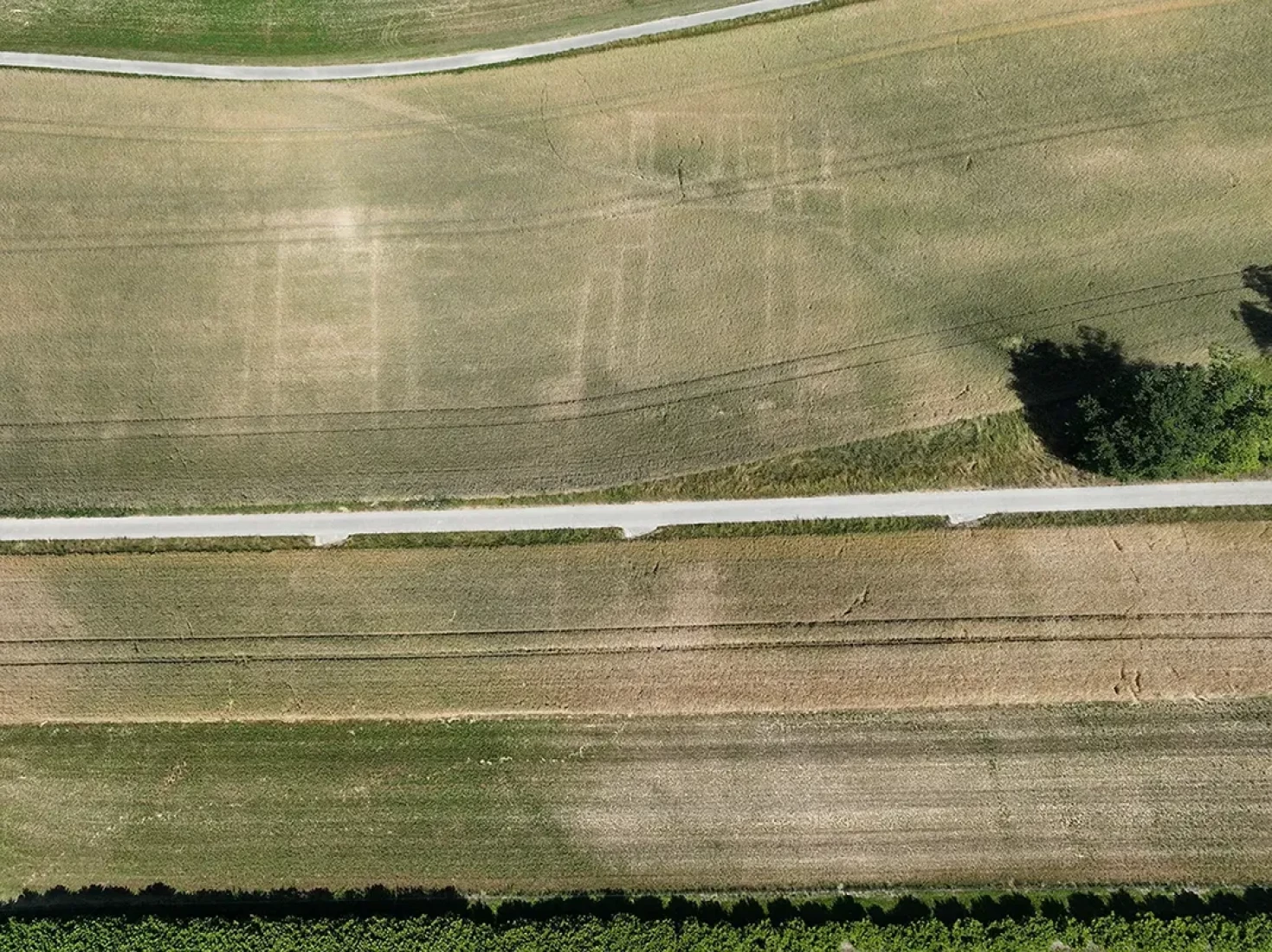 Vue aérienne avec traces dans un champ