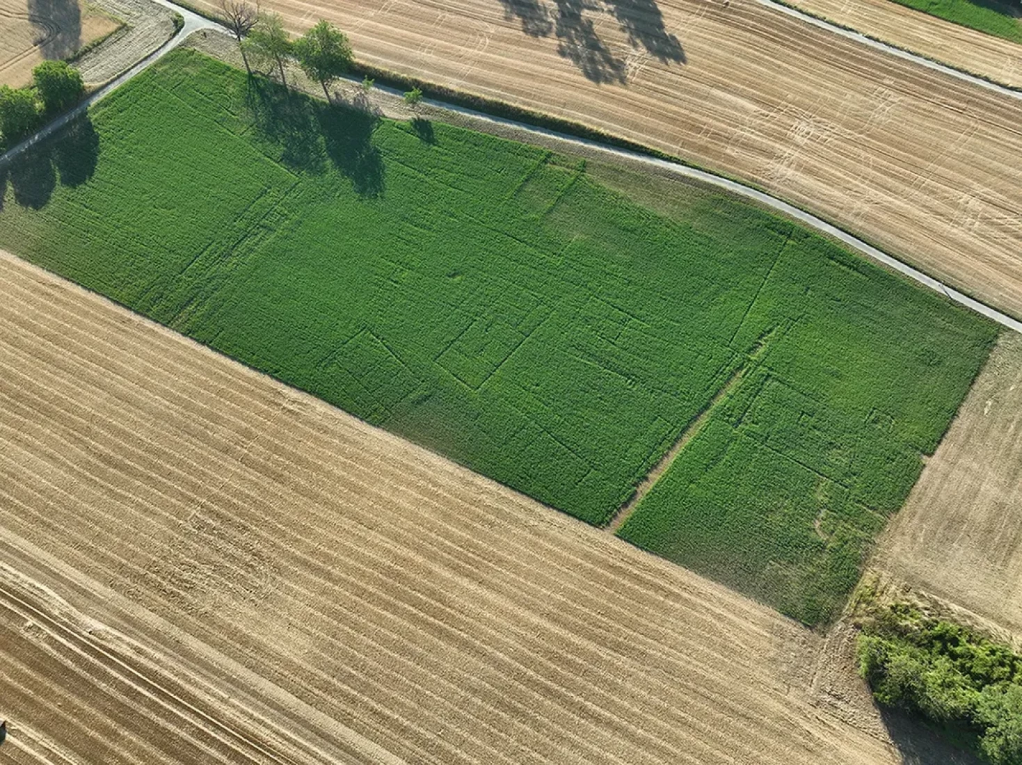 Vue aérienne avec traces dans un champ