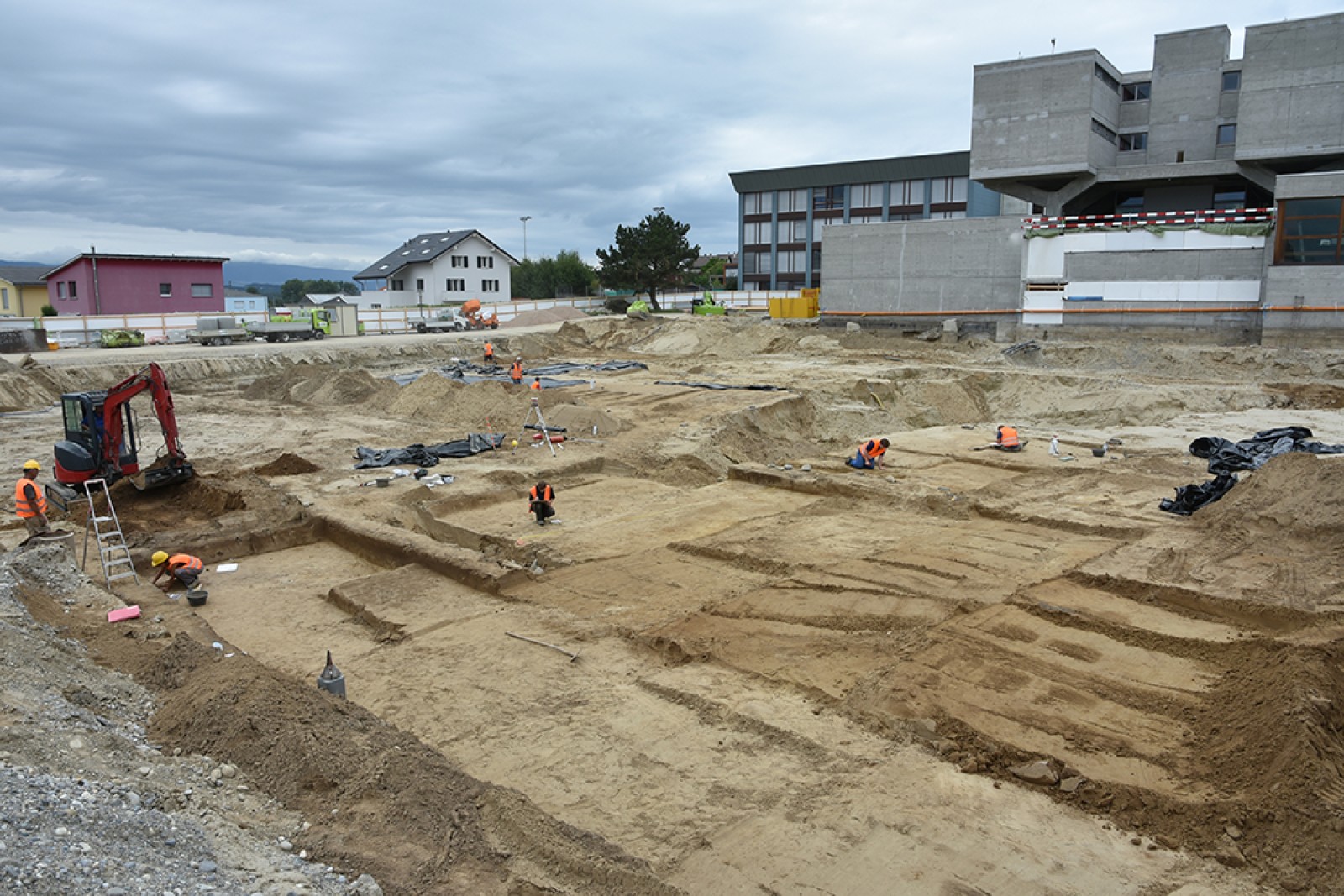 Vue générale de la parcelle en cours de fouille
