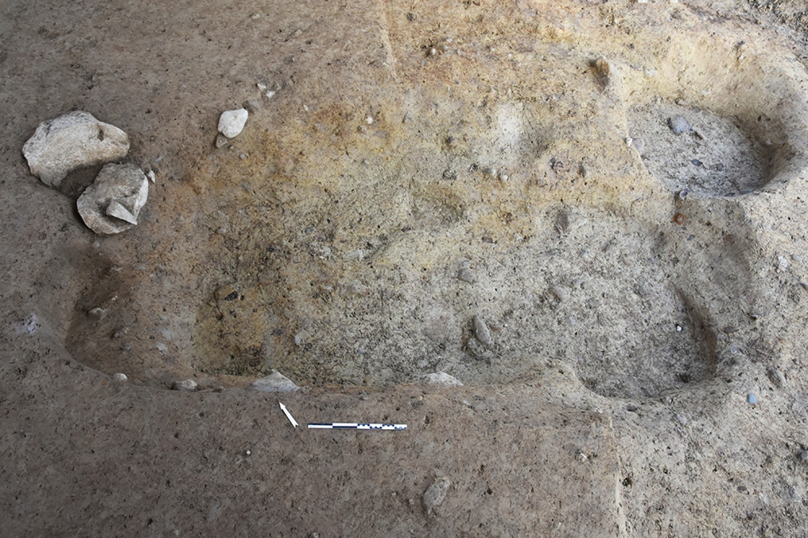 Fosse-cellier de forme rectangulaire allongée, avec emmarchement d'accès et fosse-silo (tonneau?) en haut à droite