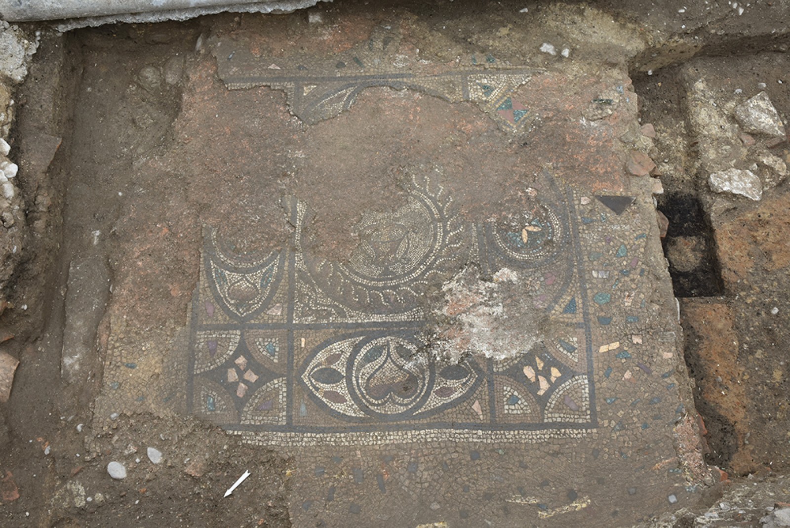 Le médaillon central de la mosaïque figure un canthare sur lequel sont perchés deux oiseaux