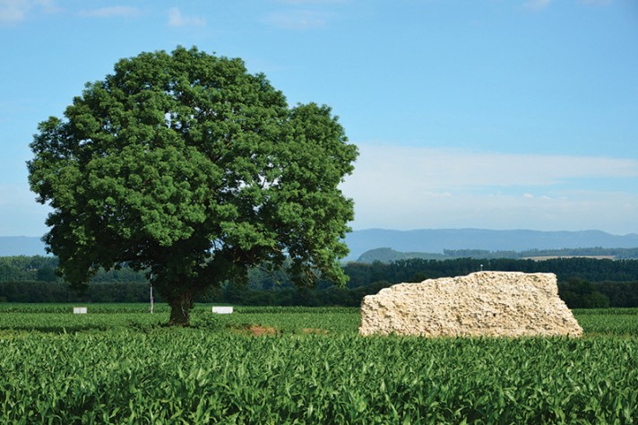 Le paysage actuel conserve des indices bien visibles du tracé du mur d'enceinte. Photo P. Lutz
