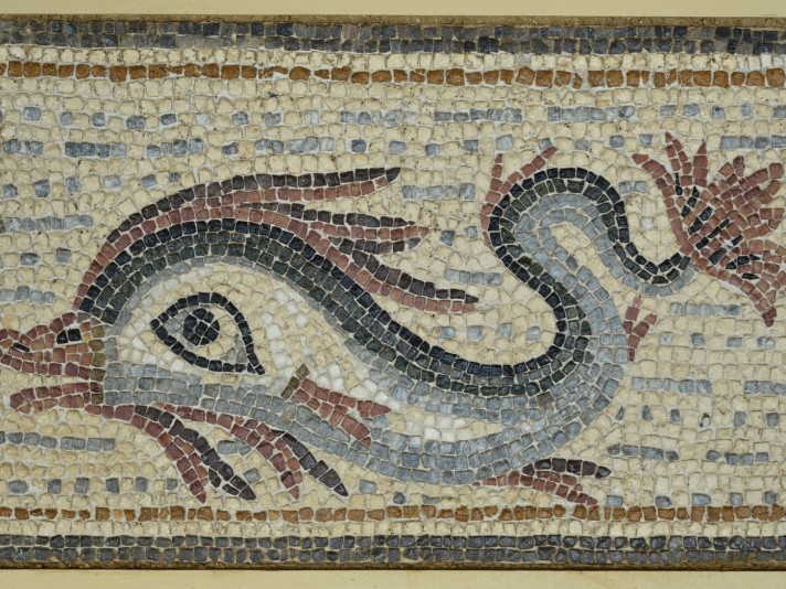 Mosaïque avec motif de dauphin © Site et Musée romains d'Avenches, photo Paul Lutz