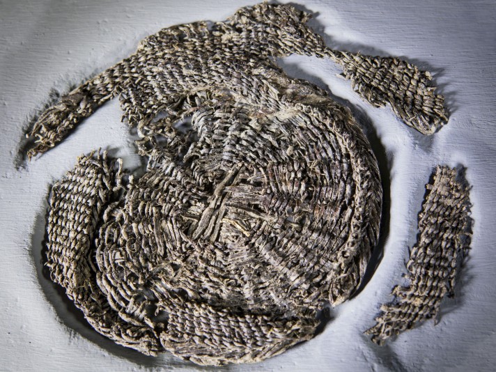 Corbeille en osier © Site et Musée romains d'Avenches, photo NVP3D